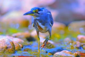 卡塔尔，2026年世界杯的地理与文化密码世界杯2026是哪个国家举办